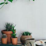 Earthenware ceramic decor adds to your home